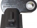 237314m50b_1.jpg